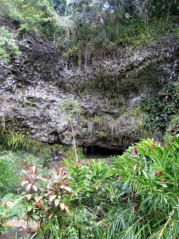 Hawaii0318.jpg