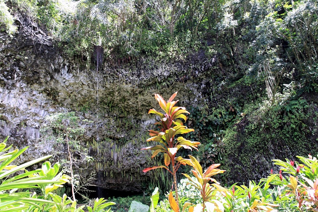 Hawaii0322.jpg