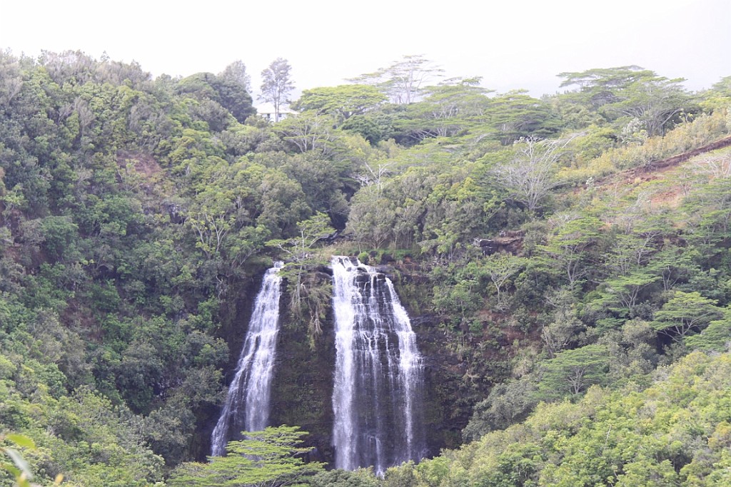 Hawaii0335.jpg