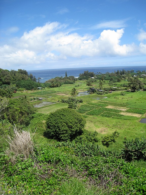 Hawaii0365.jpg