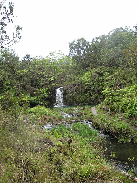 Hawaii0372.jpg