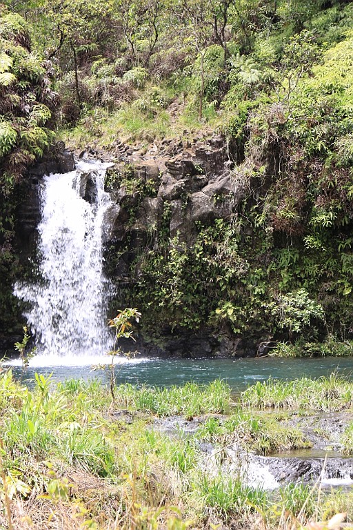 Hawaii0374.jpg