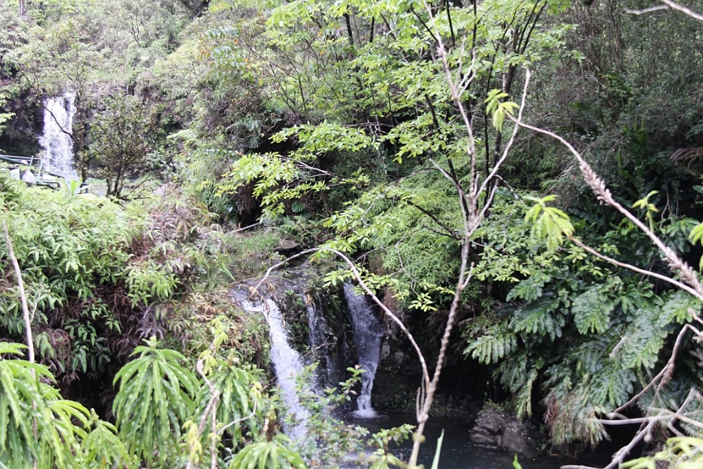 Hawaii0375.jpg