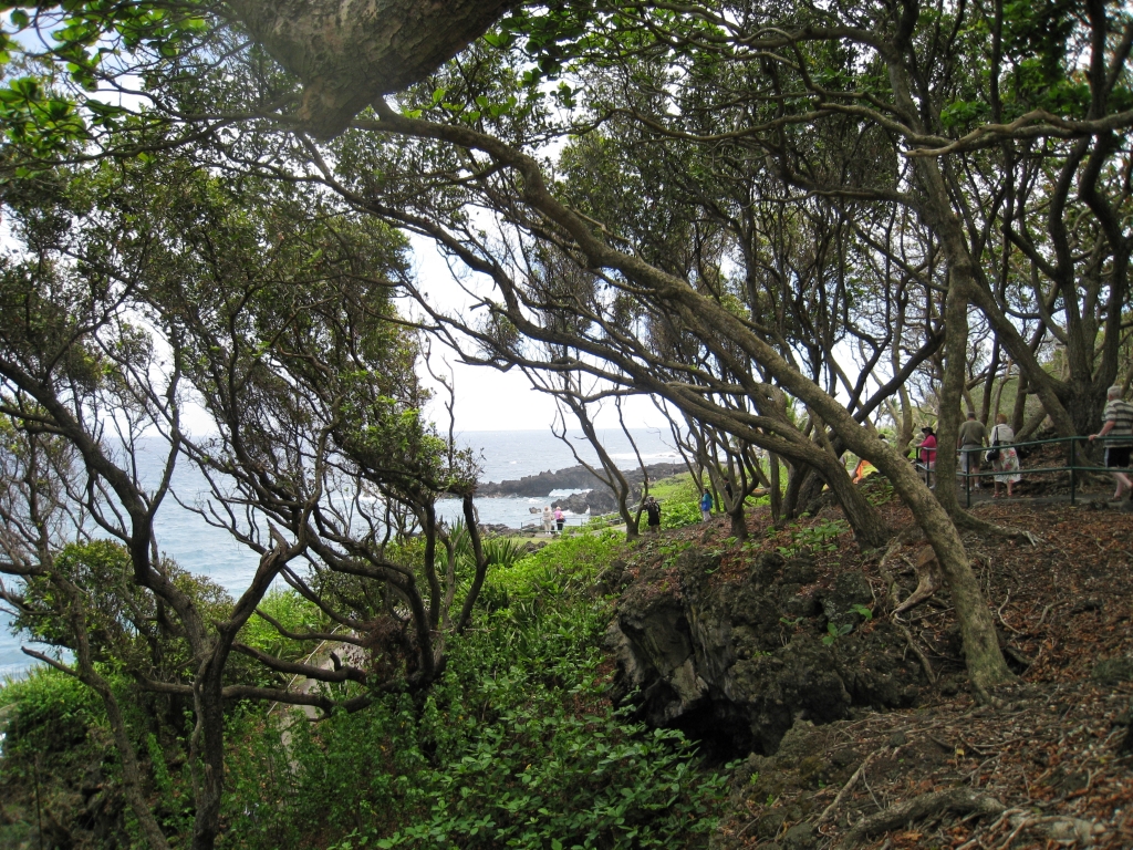 Hawaii0381.jpg