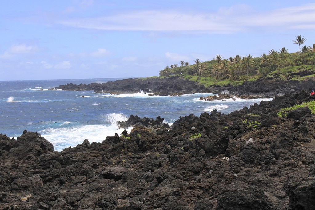 Hawaii0386.jpg