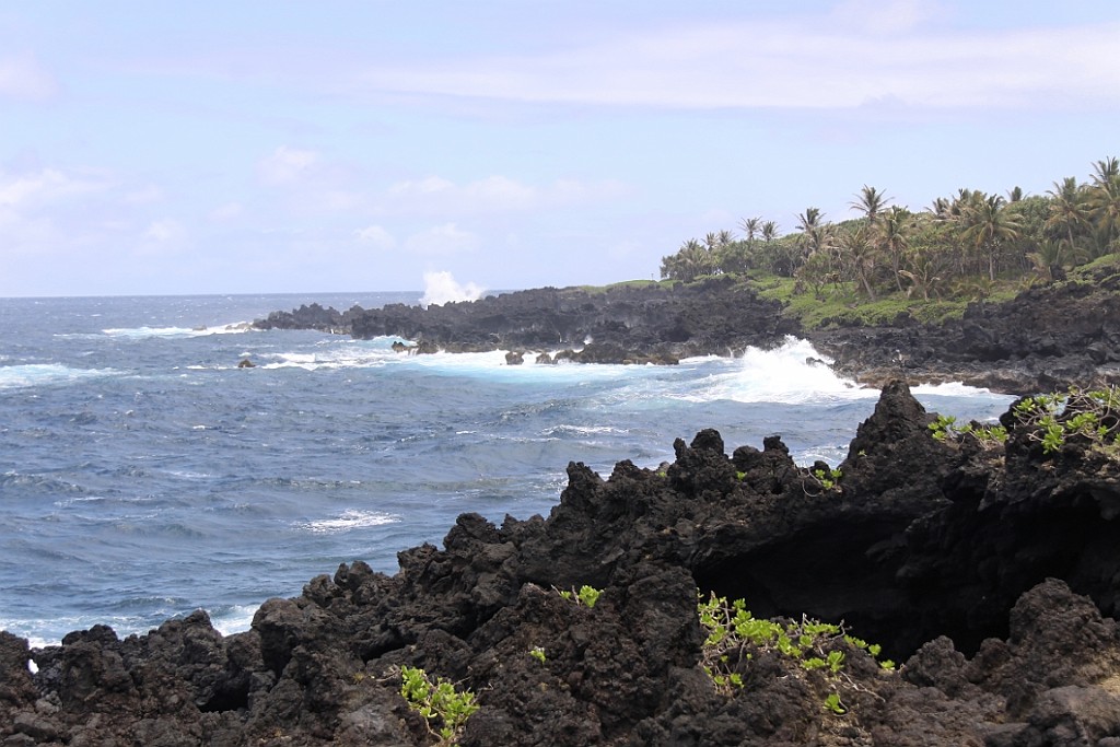 Hawaii0394.jpg