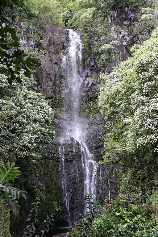Hawaii0401.jpg