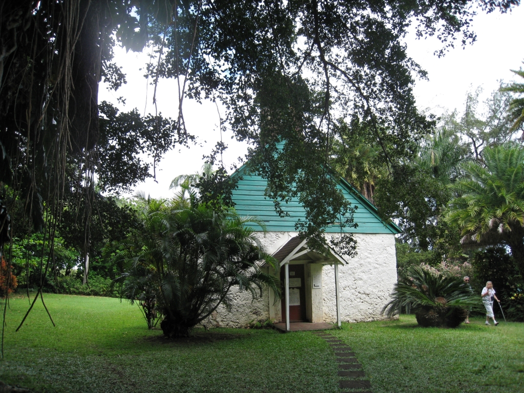 Hawaii0404.jpg