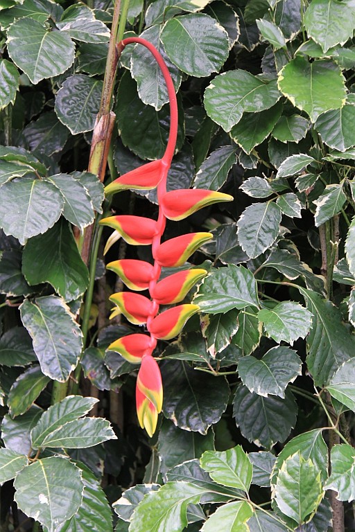 Hawaii0409.jpg