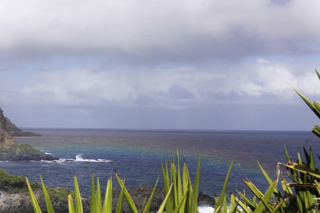 Hawaii0414.jpg