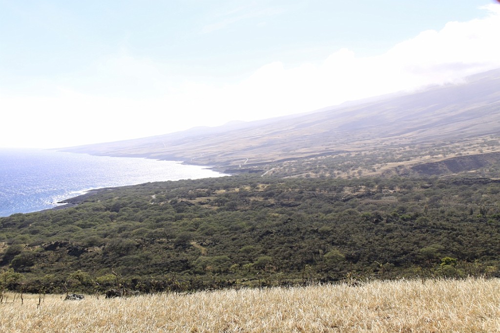 Hawaii0415.jpg