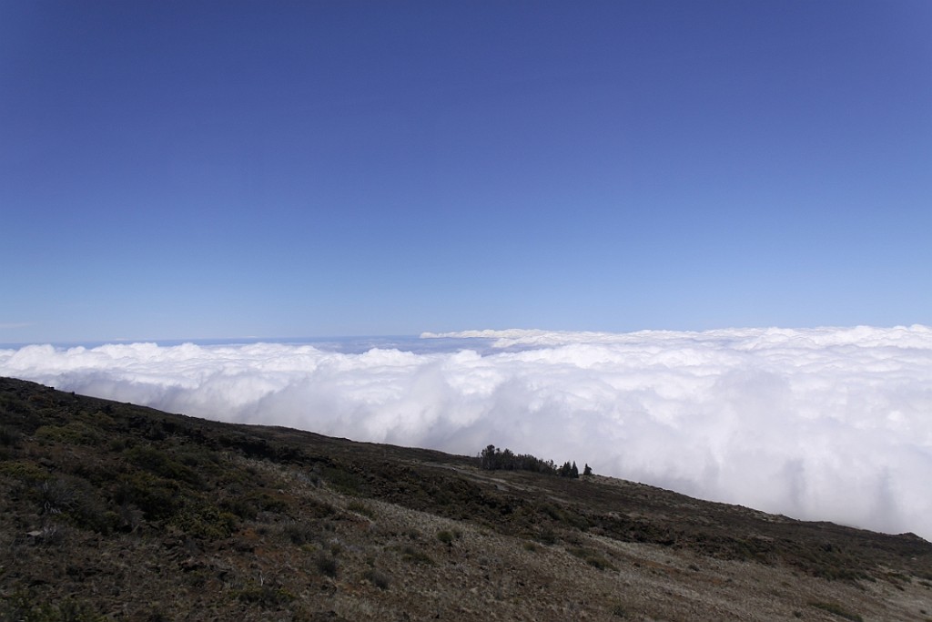 Hawaii0448.jpg
