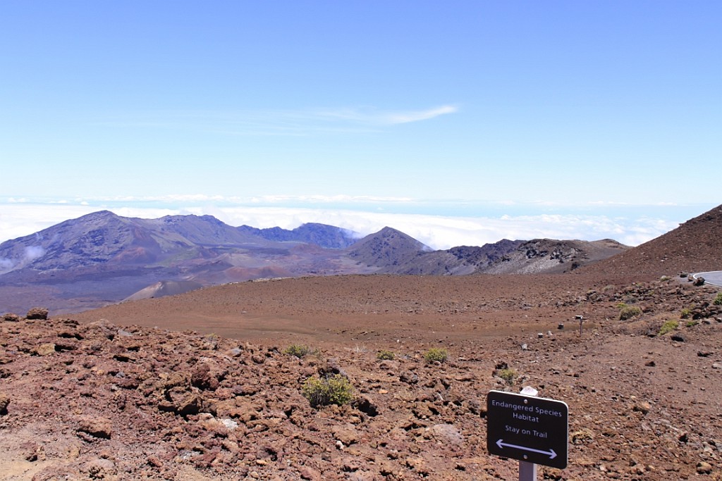 Hawaii0455.jpg