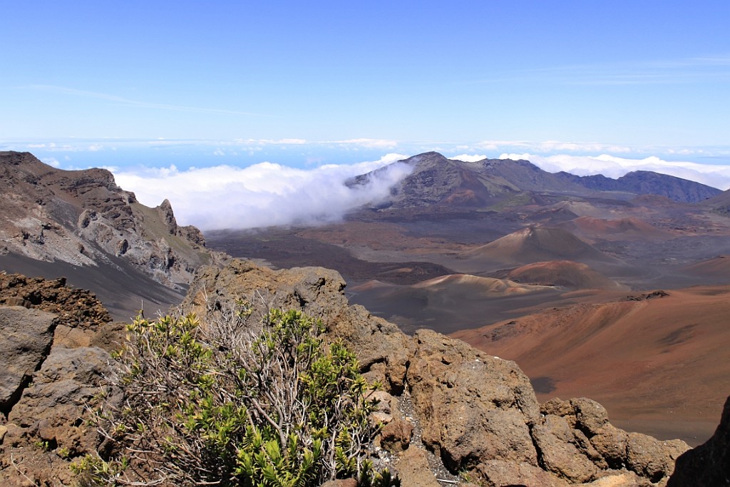 Hawaii0473.jpg
