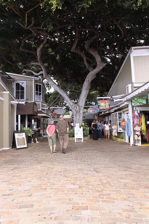 Hawaii0477.jpg