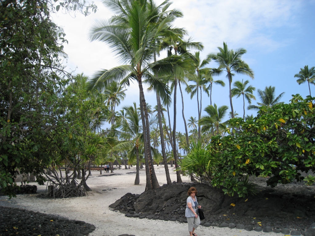 Hawaii0510.jpg