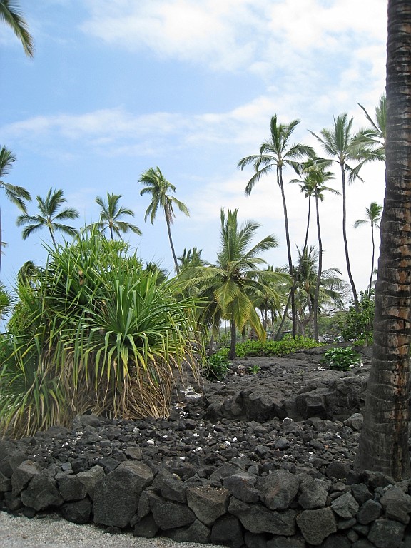Hawaii0512.jpg