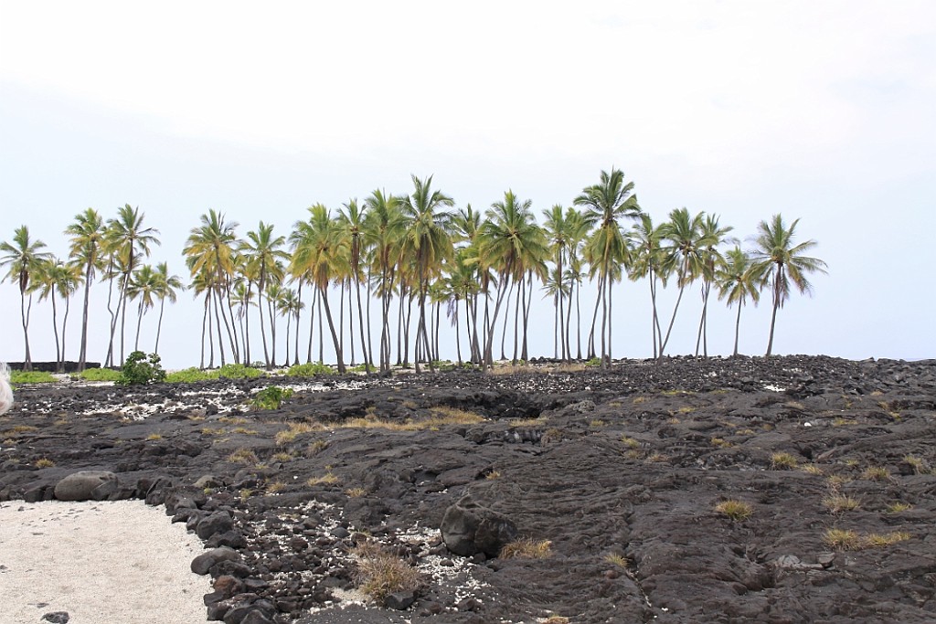 Hawaii0523.jpg