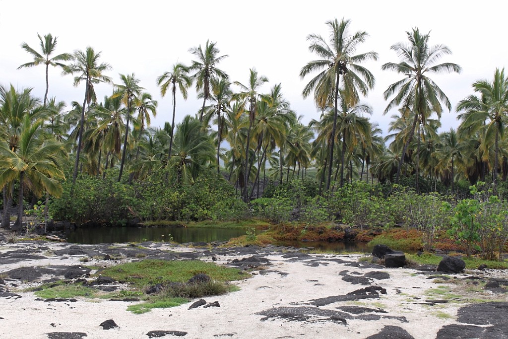 Hawaii0525.jpg