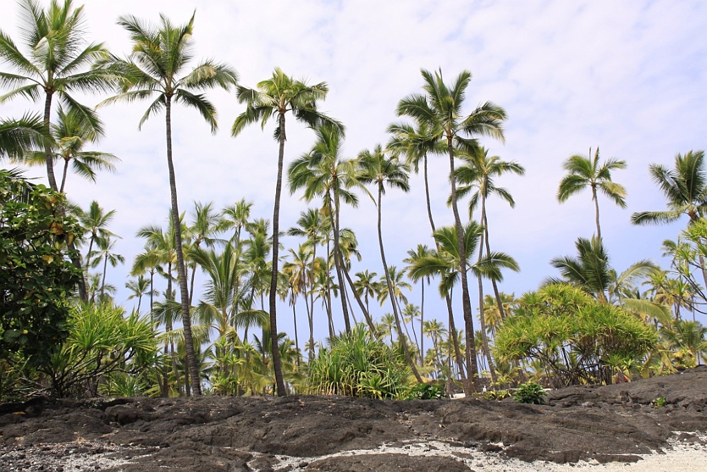 Hawaii0526.jpg