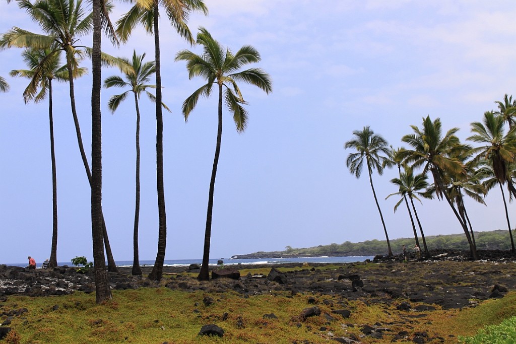 Hawaii0531.jpg
