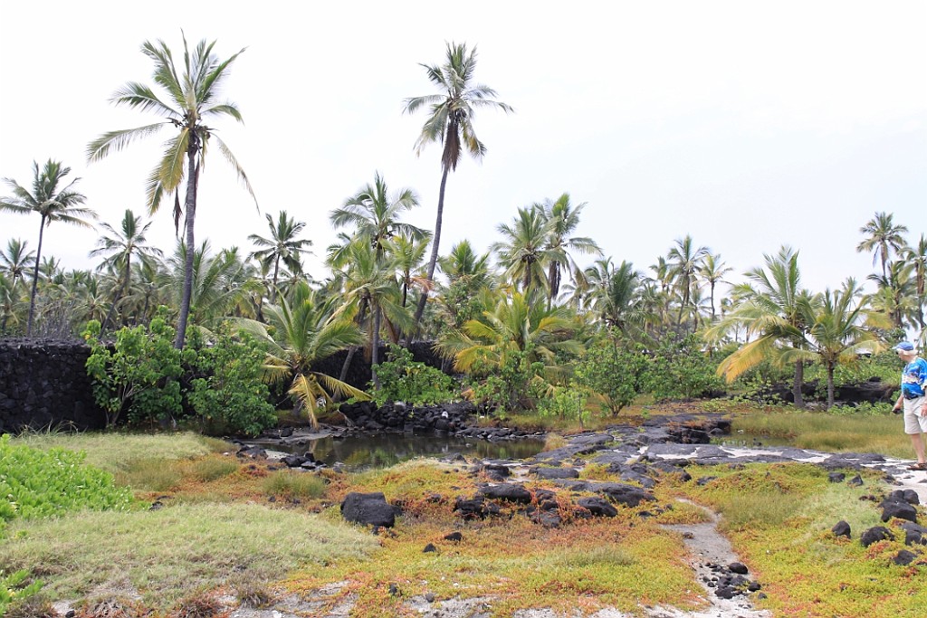 Hawaii0532.jpg