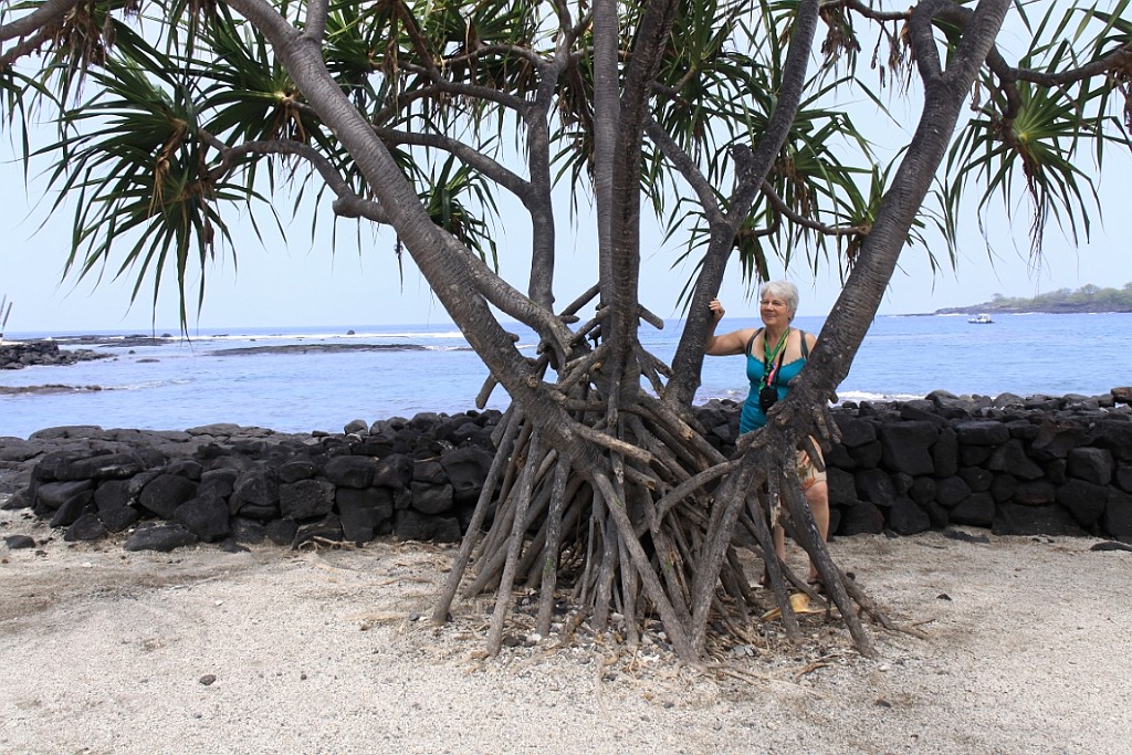 Hawaii0534.jpg