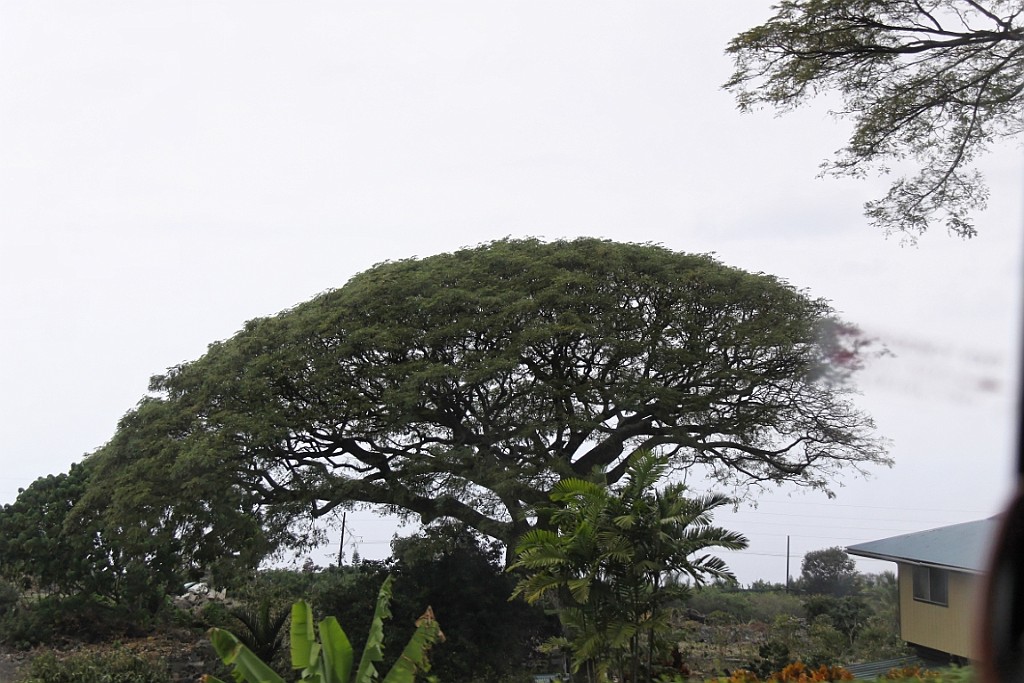 Hawaii0552.jpg