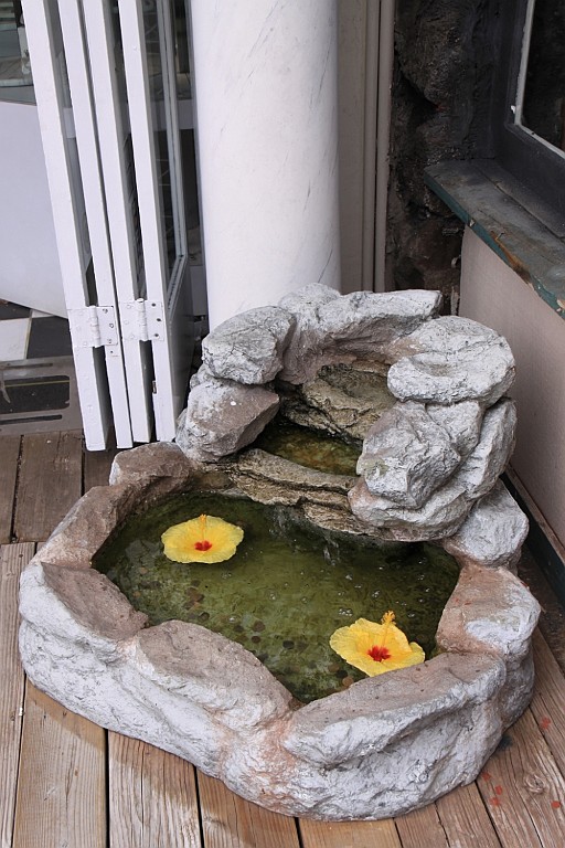 Hawaii0560.jpg