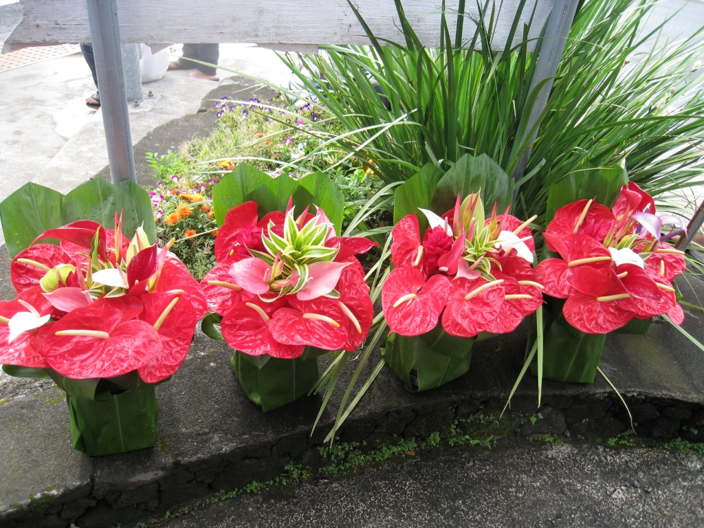 Hawaii0590.jpg