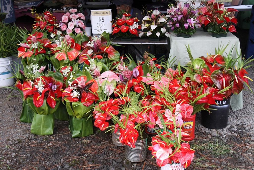Hawaii0592.jpg
