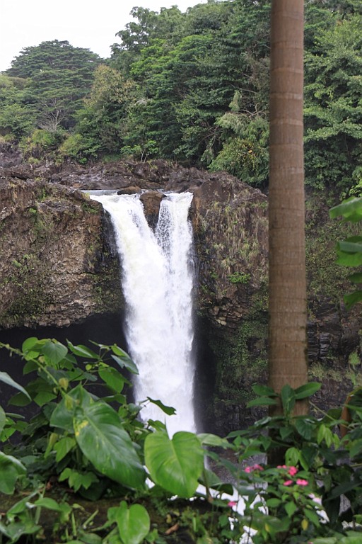 Hawaii0595.jpg