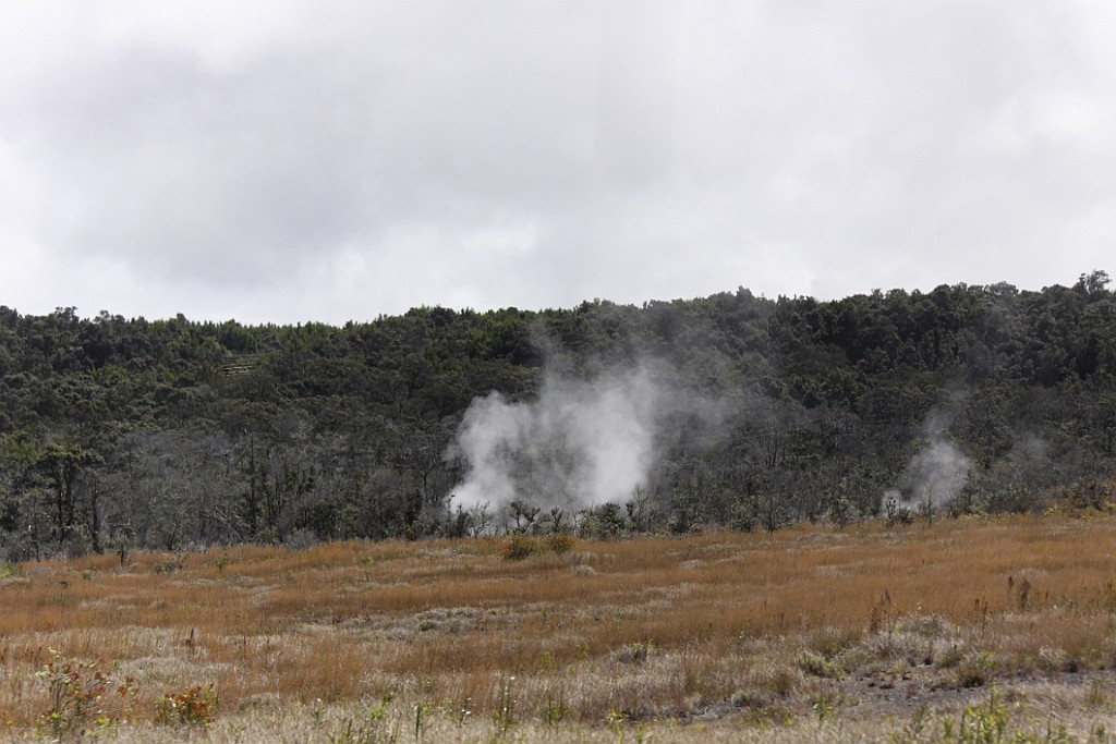 Hawaii0616.jpg