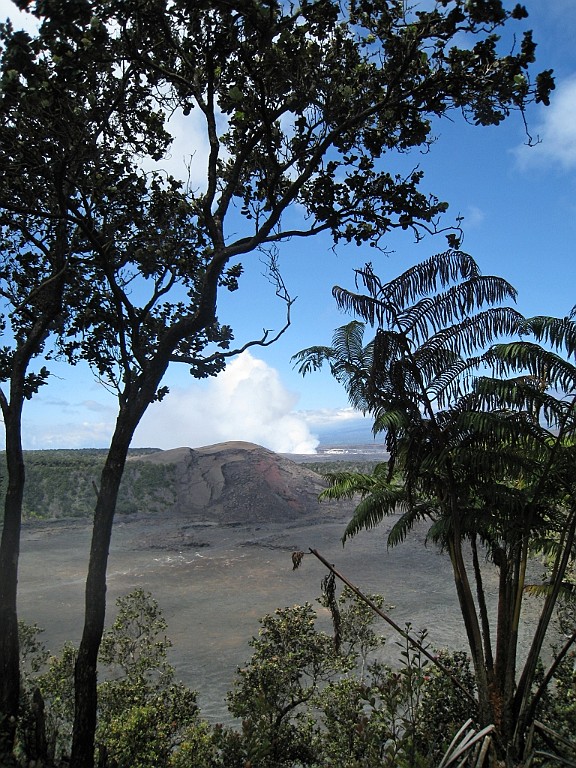 Hawaii0619.jpg