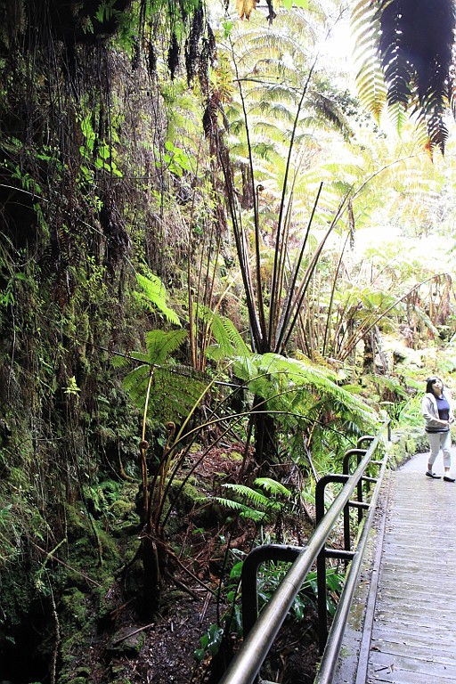 Hawaii0629.jpg