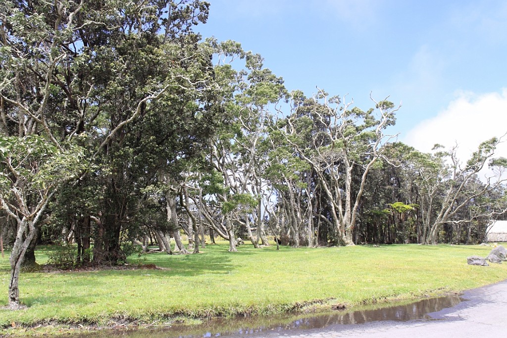 Hawaii0640.jpg