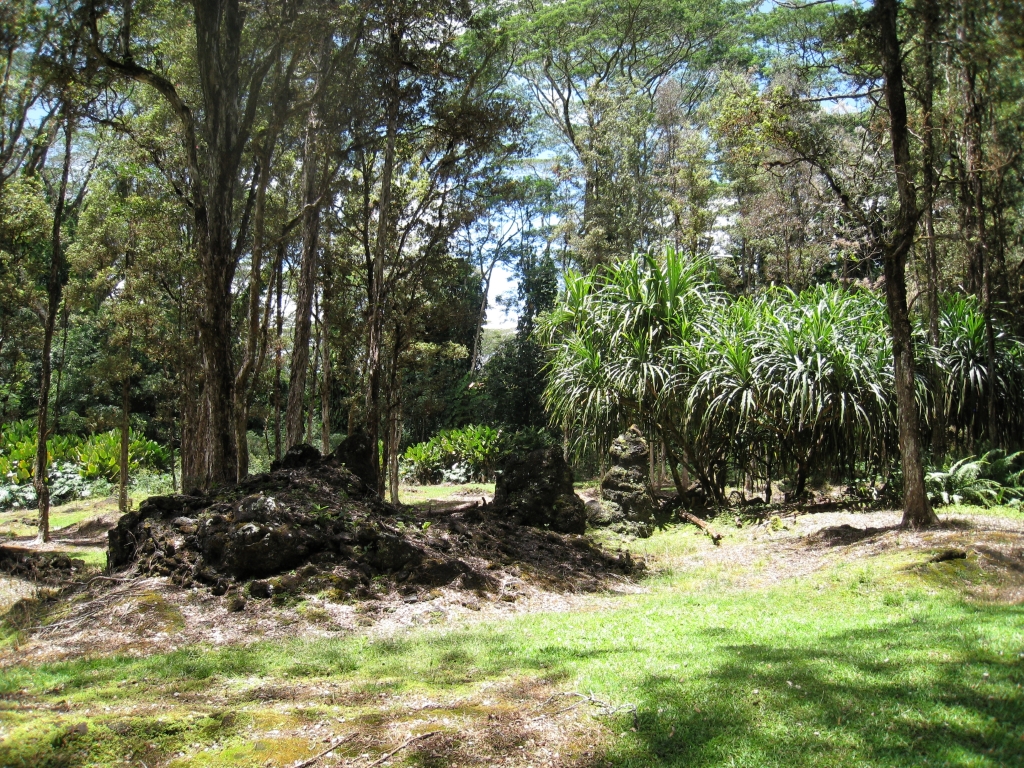 Hawaii0648.jpg