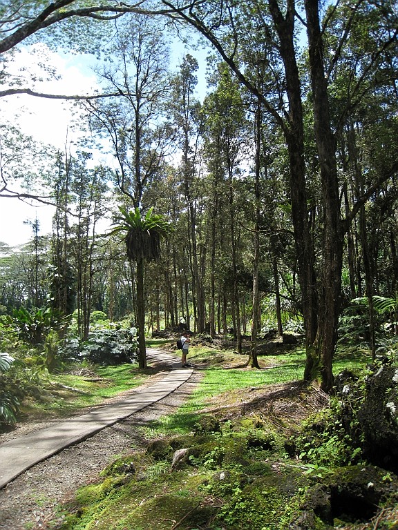 Hawaii0650.jpg