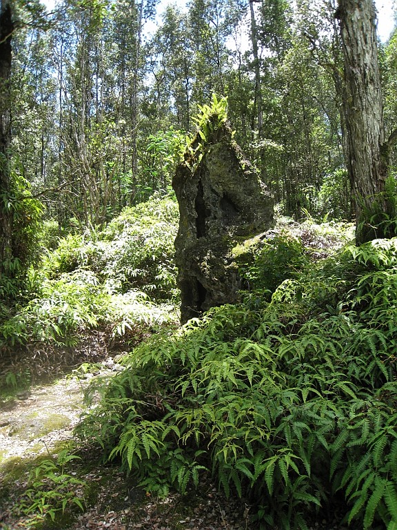 Hawaii0654.jpg