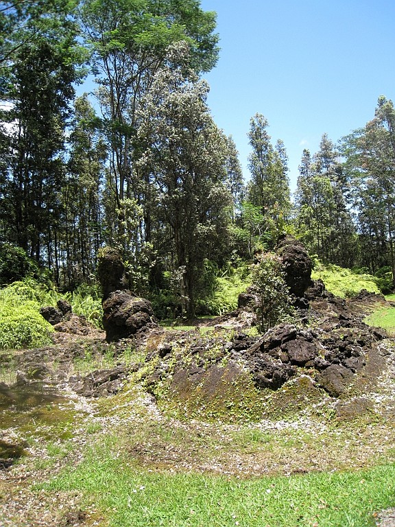 Hawaii0655.jpg