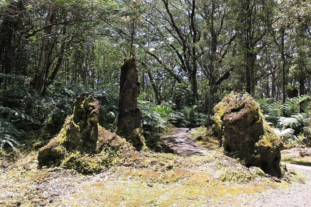 Hawaii0656.jpg