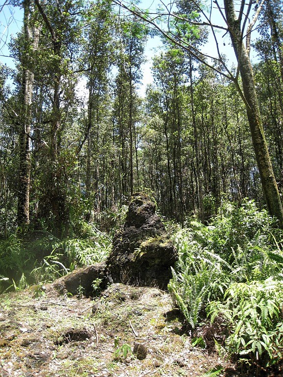 Hawaii0657.jpg
