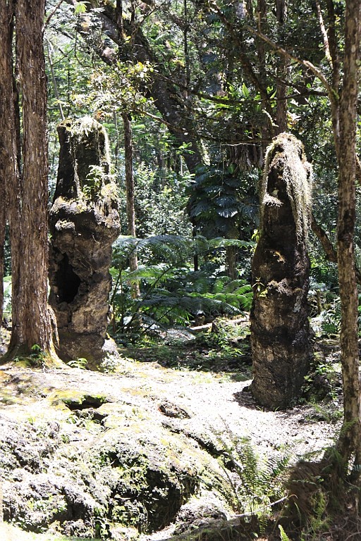Hawaii0663.jpg