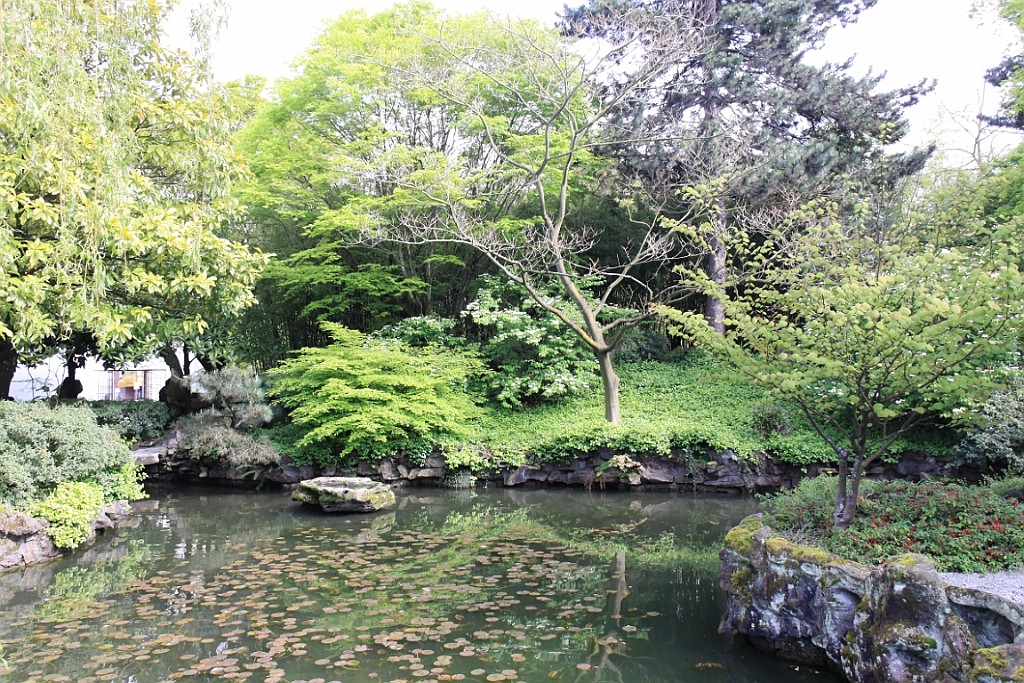 Hawaii0890.jpg