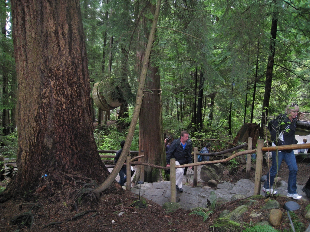 Hawaii0970.jpg
