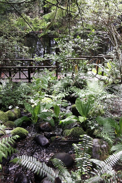 Hawaii0989.jpg
