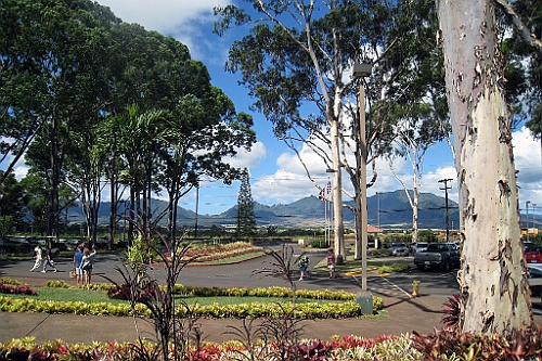 Hawaii0028