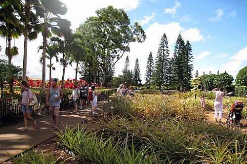Hawaii0033