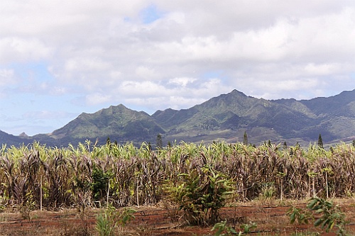 Hawaii0040