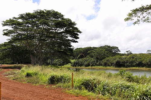 Hawaii0045